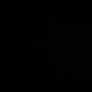 Meet your Posher, Carli